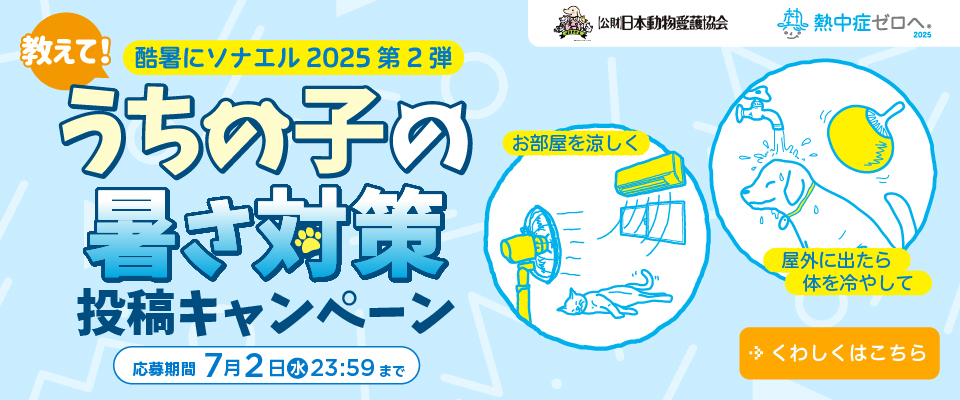 教えて！うちの子の暑さ対策投稿キャンペーン