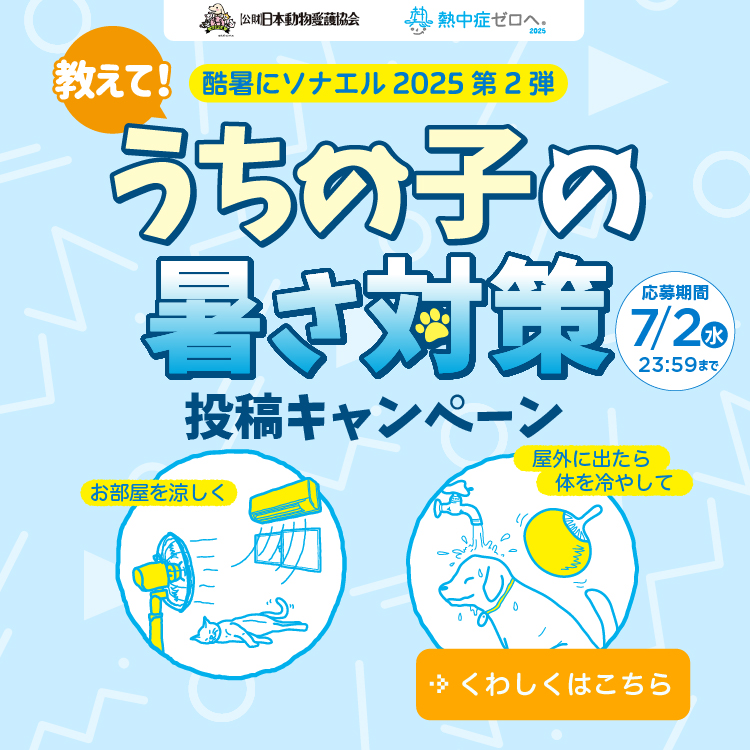 教えて！うちの子の暑さ対策投稿キャンペーン